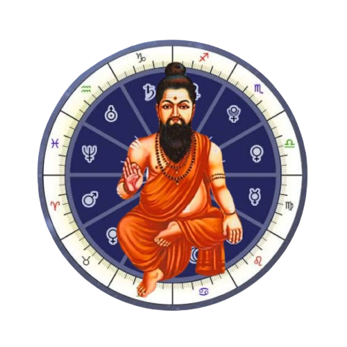 Nadi Astrologer